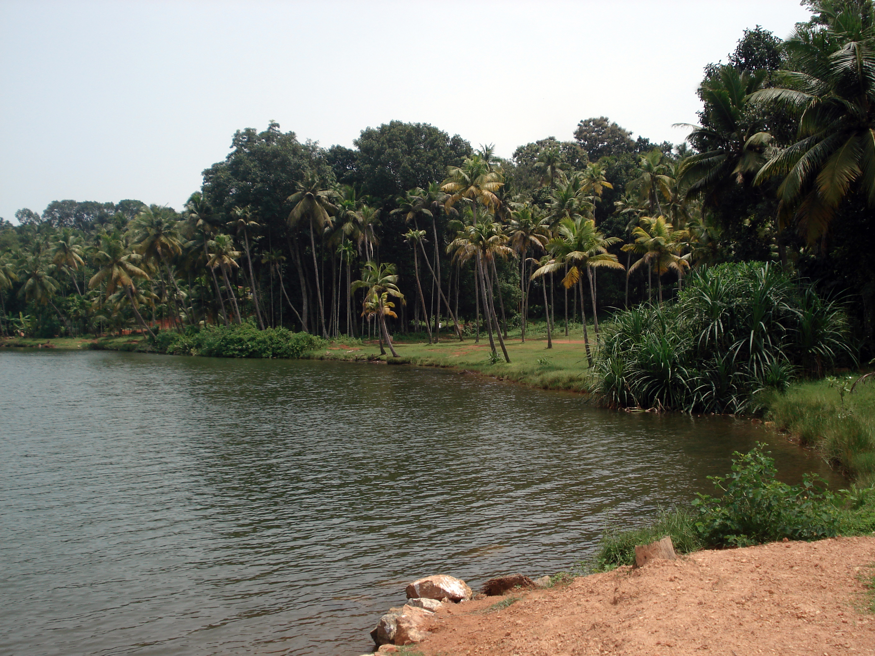 Thekkumbhagam Lake